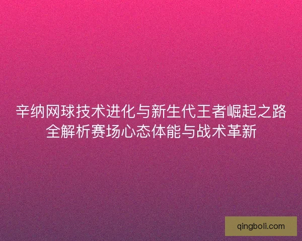 辛纳网球技术进化与新生代王者崛起之路全解析赛场心态体能与战术革新