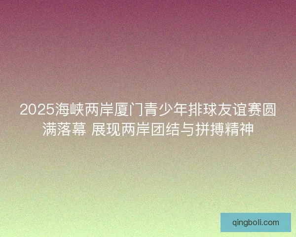 2025海峡两岸厦门青少年排球友谊赛圆满落幕 展现两岸团结与拼搏精神 2025海峡两岸厦门青少年排球友谊赛圆满落幕 展现两岸团结与拼搏精神