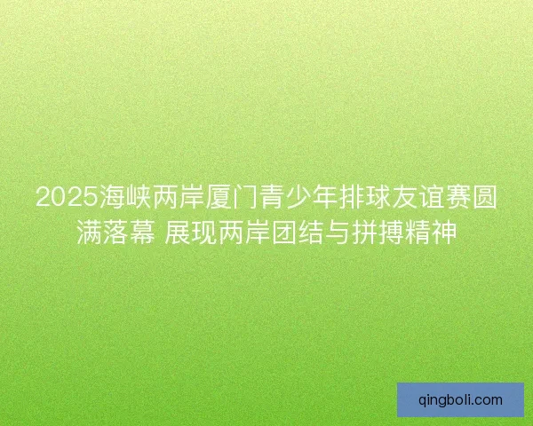 2025海峡两岸厦门青少年排球友谊赛圆满落幕 展现两岸团结与拼搏精神 2025海峡两岸厦门青少年排球友谊赛圆满落幕 展现两岸团结与拼搏精神