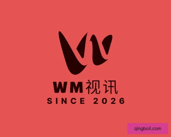 关于WM视讯